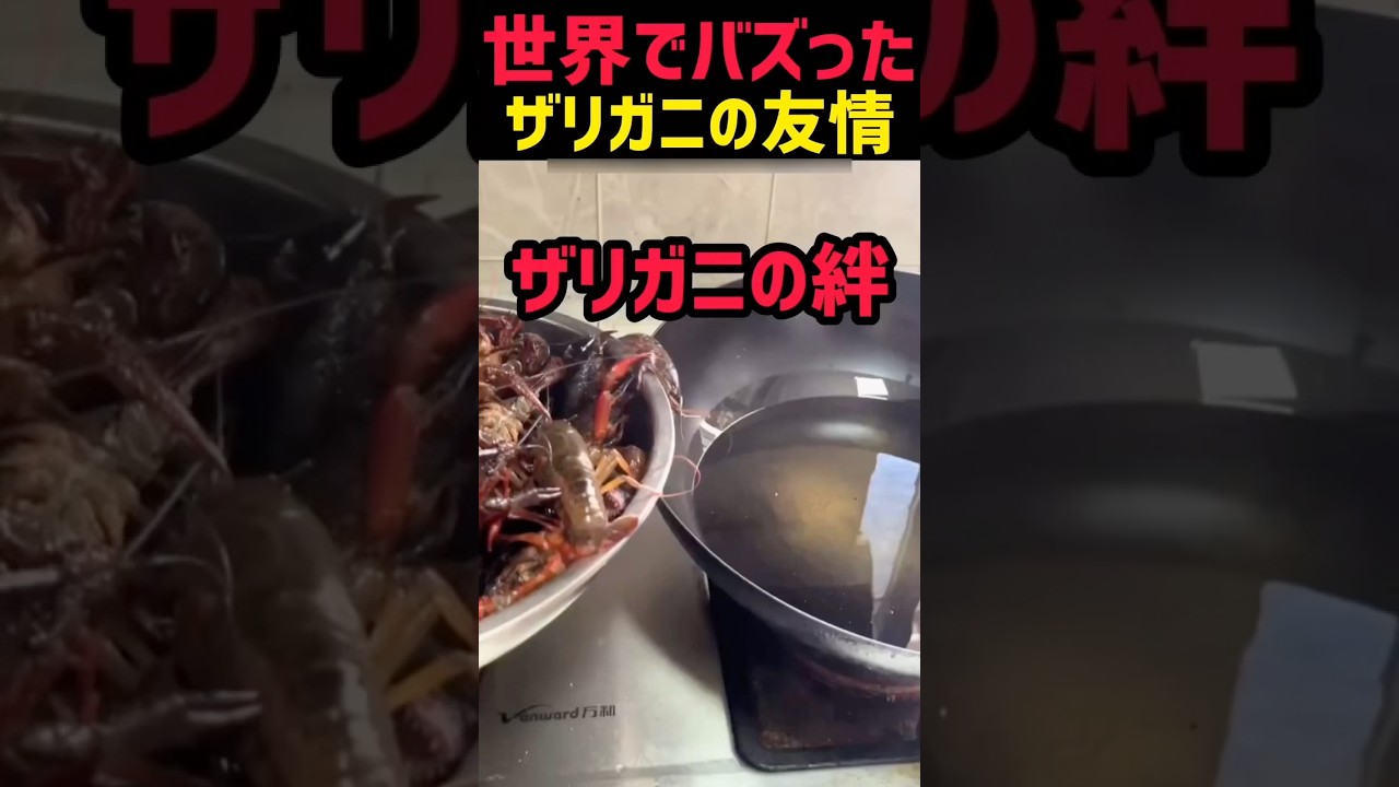 ザリガニの固い絆