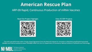 Rapid Continuous Production of Room Temperature Stable mRNA Vaccines