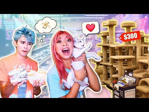 Buying ANYTHING Our CAT TOUCHES | Our Fire