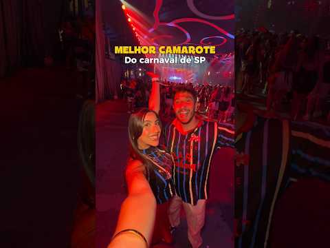 COMO É O CARNAVAL DO CAMAROTE BRAHMA NO SAMBÓDROMO DO ANHEMBI EM SÃO PAULO #carnaval