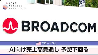 米ブロードコム AI向け売上高見通し 予想下回る【モーサテ】