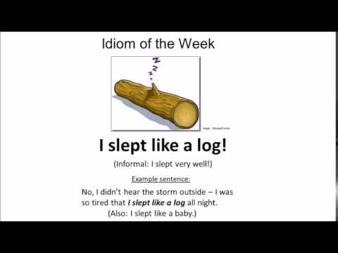 I slept like a log