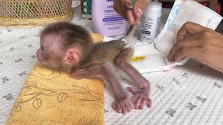 Lil Fur Gave Mom Another TroubIe After A Warm Morning Bath