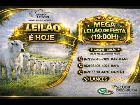 LEILÃO DE GADO EM GUAPÓ - GOIÁS 17/04/2026
