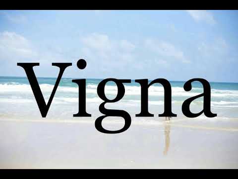 How To Pronounce Vigna🌈🌈🌈🌈🌈🌈Pronunciation Of Vigna