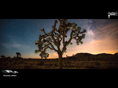 Syntouch & The Avains - Ray Of Hope (Original Mix) [Butterfly Music]