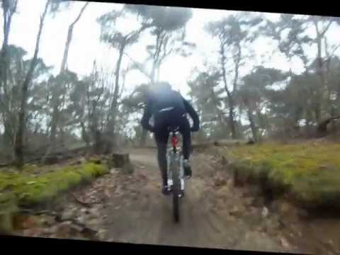 Lage Zwaluwe goes Dorst