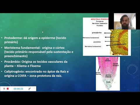 Histologia vegetal Introdução