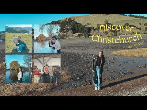 An Unforgettable Journey: Alpacas, Nature, and Christchurch| Kim Reyes