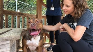 Daily Sara: Episode 1 - PBS, Shelter Evaluation, Charlotte Magazine