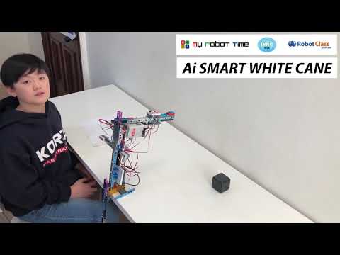 AI Smart White Cane