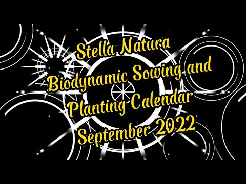 Planting calendar for September 2022