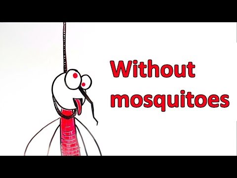What would happen if we killed all the mosquitoes?