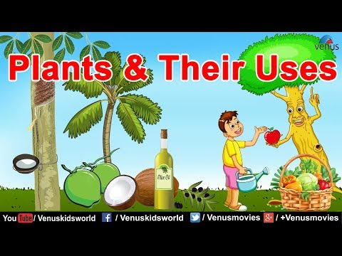 download lagu mp3 mp4 Uses Of Plants, download lagu Uses Of Plants gratis, unduh video klip Uses Of Plants