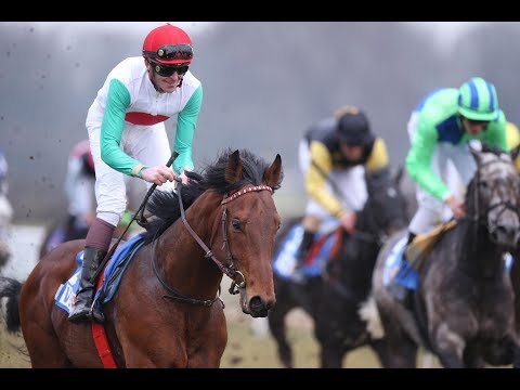 Hannover: Großer Preis der Landschaftlichen Brandkasse Hannover (Listenrennen) - Sieger: Schäng