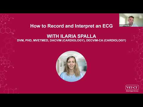 Veterinary Webinar: How to Record and Interpret an ECG