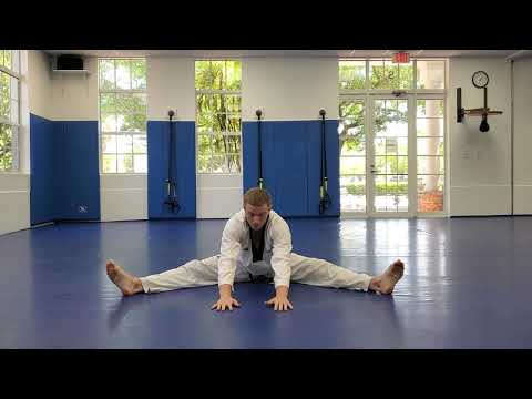 Online Course: Kids Beginner TKD: Lesson #3
