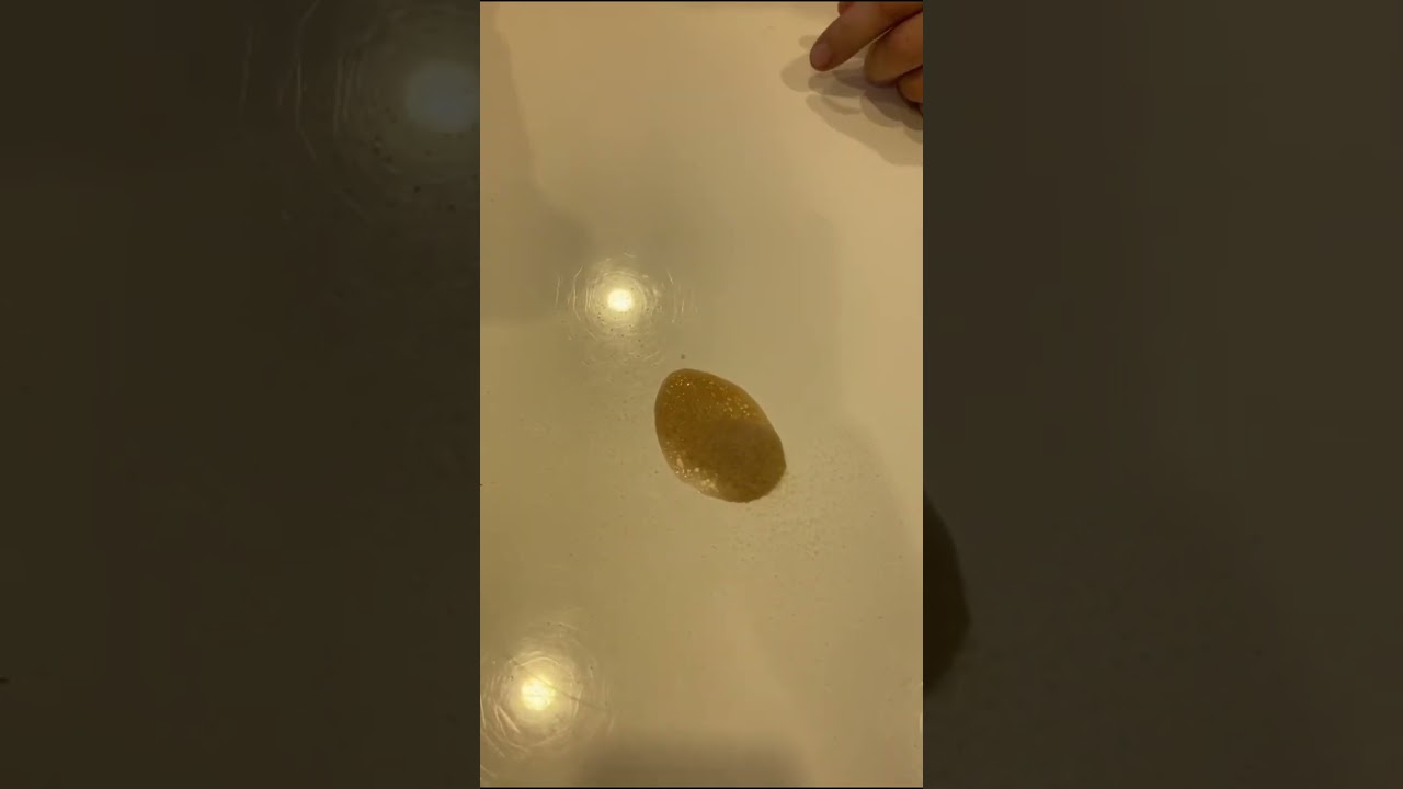 WG 100 Produktvideo (Vorgänger)