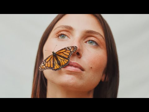 Lily Meola - Butterfly (Official Lyric Video)