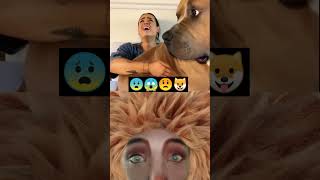 Download lagu Wanita di duduki anjing besar mp3 Download lagu Wanita di duduki anjing besar mp3