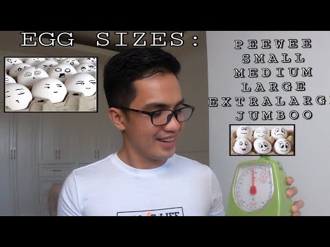 download lagu mp3 mp4 Egg Classification, download lagu Egg Classification gratis, unduh video klip Egg Classification