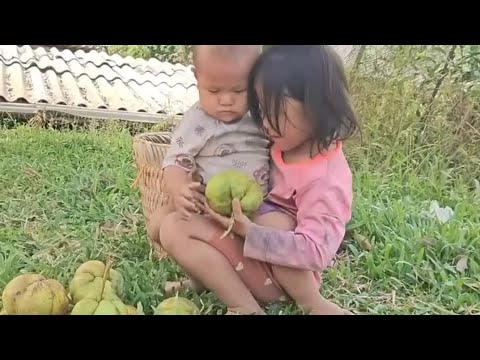 She Picked Black Fruits and Washed Clothes to Earn a Living