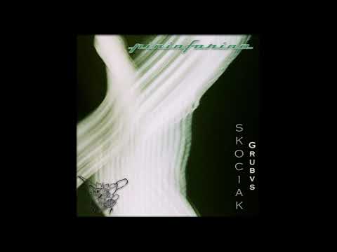 skociak feat. GRUBVS - pininfarina