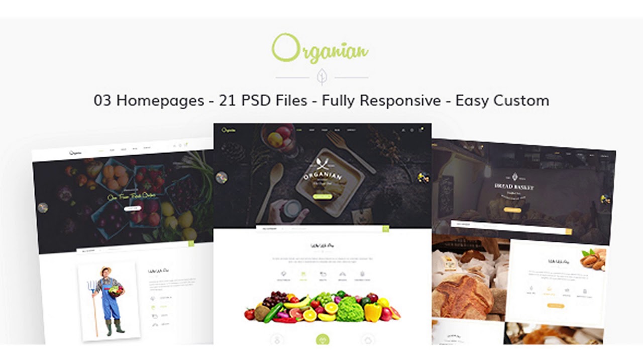 Organian - Multiconcept Organic Store PSD Template | Themeforest Website Templates and Themes