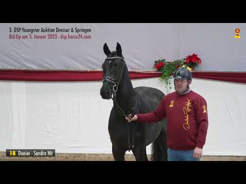 Lot 18 Donier / Sandro Hit