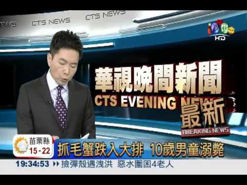 抓毛蟹跌入大排 10歲男童溺斃