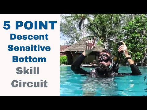 5 Point Descent Sensitive Bottom • Divemaster Instructor PADI IDC Skills Circuit
