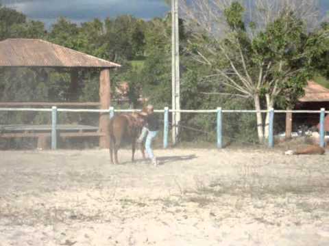 jai  treinando caruana.wmv