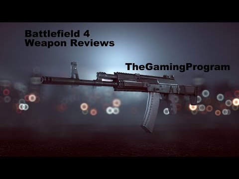 Battlefield 4: Accuracy or Stability?