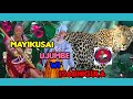MAYIKUSAI UJUMBE WI SABHIGULA AUDIO MSAMBAZAJI DOTO K GASHI