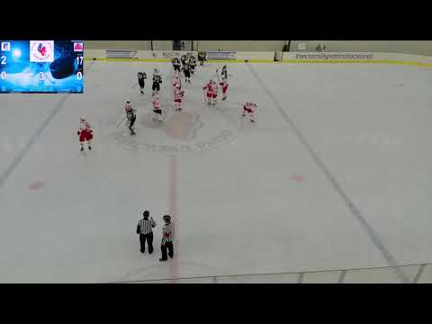 Campionatul Natioana de Hochei masculin