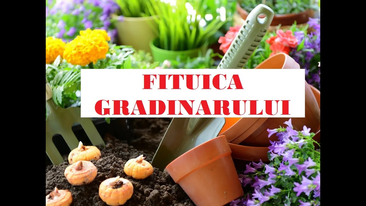 SUPER FIȚUICA GRĂDINARULUI pentru noul sezon- de la pregătirea terenului până la recoltare!