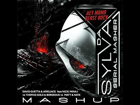 DAVID GUETTA & AFROJACK feat NICKI MINAJ vs THOMAS GOLD & BORGEOUS vs MATT & NATE hey mama beast ...
