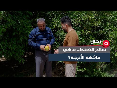 شاهد بالفيديو.. تعالج الضغط والامراض.. هل سمعت بفاكهة الأترجة من قبل؟