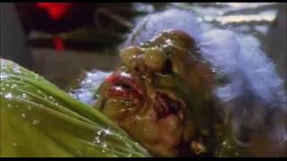 Lower Slaughter - Bone Meal