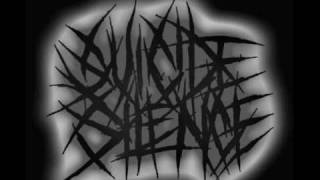 Victim of Tragedy - Suicide Silence