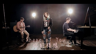 Shape of You  Ed Sheeran ( Alex Goot + Andie Case COVER)中文字幕