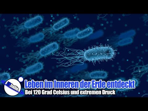 Sensation: Life discovered deep inside the Earth