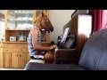 I Knew You Were Trouble - Horse Head Edition ...