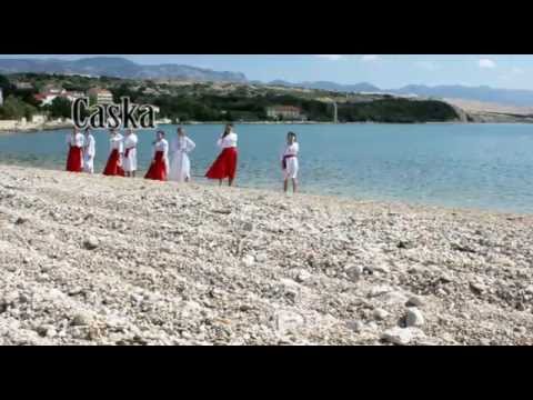 PLESNA RAZGLEDNICA OTOKA PAGA