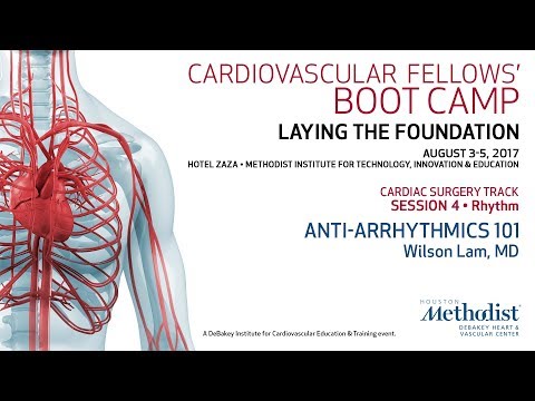 Anti-Arrhythmics 101 (Wilson Lam, MD)