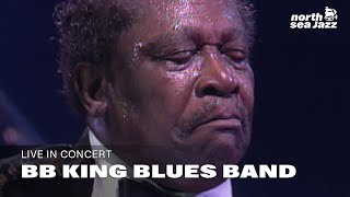 BB King Blues Band - &#39;Your Letter&#39; [HD] | Live at North Sea Jazz (1993)