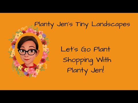 Plant Shopping At Geometry Garden & Floral With Planty Jen! 
