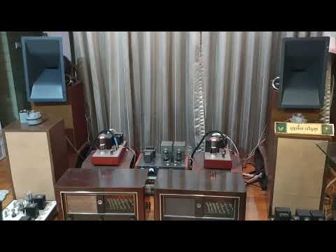 "CONDEMNED WITHOUT TRIAL"  GINNY GIBSON