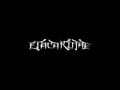 Etacarinae - The Hell We Created