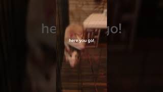 Download lagu #rats mp3 Download lagu #rats mp3
